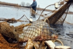 Природоохранная прокуратура Березников просит жителей Верхнекамья сообщать о браконьерах