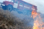 В Березниках на 35% выросло число случаев поджигания травы