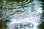 Синоптики спрогнозировали дождь и грозы
