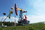 «Лукойл-Пермь» заплатит штраф за прокладку трубопровода в районе дачного поселка Чашкино 