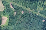 Дистанционный мониторинг лесов Прикамья охватит почти 60% площади