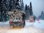Уроженец Азербайджана вырубил лес в Прикамье на 26 млн рублей