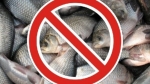 В Березниках запрещено ловить рыбу во время нереста 