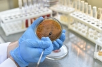 В Прикамье выявлено 69 новых случаев коронавируса
