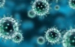 Учёные пришли к выводу, что уровень коллективного иммунитета к коронавирусу может быть вдвое выше, чем предполагалось ранее 