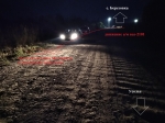 В Березниковском ГО возле деревни Березовка по вине автоледи пострадали два ребенка