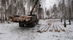 «Черные лесорубы» заработали около 30 млн рублей