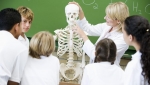 В березниковской школе  откроют медицинский класс 