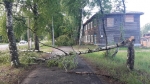 В Красновишерске ураганный ветер сносил теплицы, валил деревья
