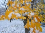 В конце недели в Березниках выпадет первый снег