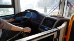 В Березниках не будут привлекать к работе иностранцев в качестве водителей автобусов и такси 