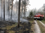 На тушение лесных пожаров в Прикамье выделено в три раза больше средств