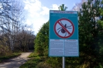 За неделю на территории Березников от укусов клещей пострадали более 40 человек