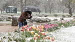 Аномально холодная погода в Прикамье продержится до 24 мая