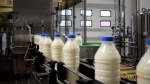 В Перми ликвидирован несуществующий молокозавод, зарегистрированный в гипермаркете «СемьЯ»