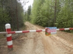 Жителям Березников запретили посещать леса