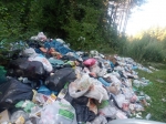 В лесу недалеко от Усолья обнаружена гора бытовых отходов