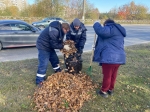 В Березниках участники субботника убрали опавшую листву