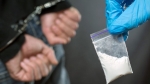 В Прикамье у фигурантов уголовного дела изъято 14 кг наркотиков