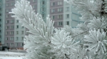 В Прикамье начало календарной зимы станет самым холодным за 8 лет