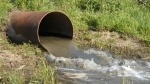 Березниковская природоохранная прокуратура выявила сброс канализации в реку