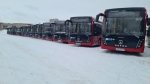В Прикамье досрочно поставлены 64 газовых автобуса 
