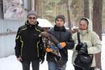 В Соликамске спасли краснокнижную хищную птицу