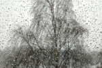 Циклон принес в Березники сильный снег с дождем, в Красновишерск – грозу с ливневым снегопадом