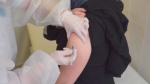 В Прикамье поступила вакцина от клещевого энцефалита 