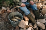 В Прикамье под запрет попали самые популярные места для рыбалки