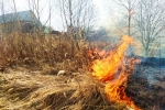 В Прикамье удвоилось количество ландшафтных пожаров 