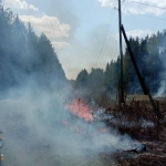 В Березниках возле городского водозабора «Усолка» произошел пожар