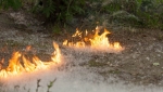В Соликамске на территории кладбища возник пожар