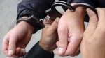 В Кыргызстане задержан охранник, подозреваемый в избиении московского дрессировщика в Перми