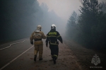 Крупный лесной пожар под Краснокамском полностью ликвидирован