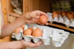 В Прикамье подскочили цены на яйца
