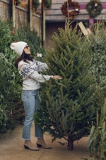 В лесничествах Прикамья начались продажи живых новогодних елей
