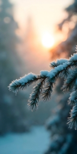 ��������� ������ ������ ������� ��������� �������� ������� ��������� ����