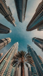 �������� �� ��������� ���� ����������� ������������ �� ������� �� ������� ������ 