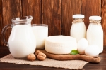 Пермский край планирует нарастить производство молока и молочной продукции на 25%