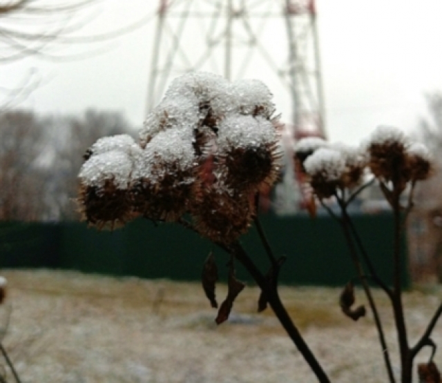 На 2 градуса выше норма