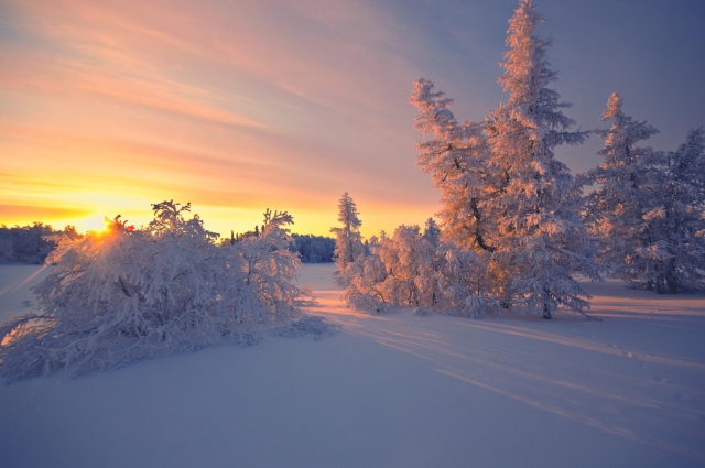 ��������� ���������� � ������ � ������ 