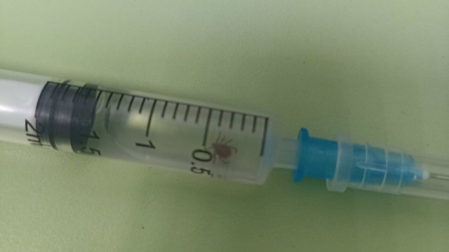 ����� ������ ���������