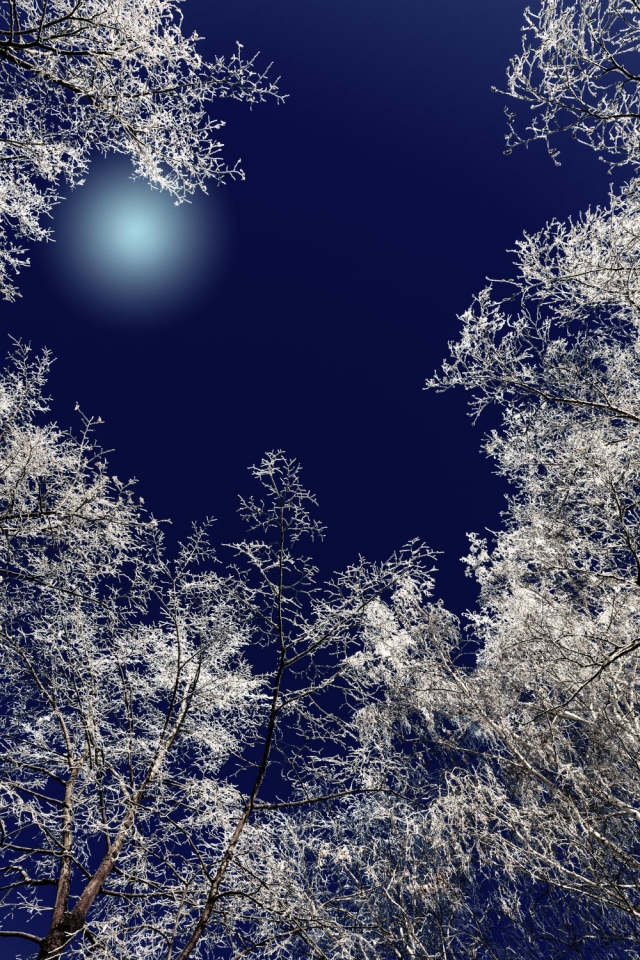 �� ������ � �������� ��������� ����������� �� -28 �������� 