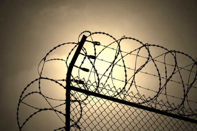 ������������� ������� � �������� ��������� �� 65%