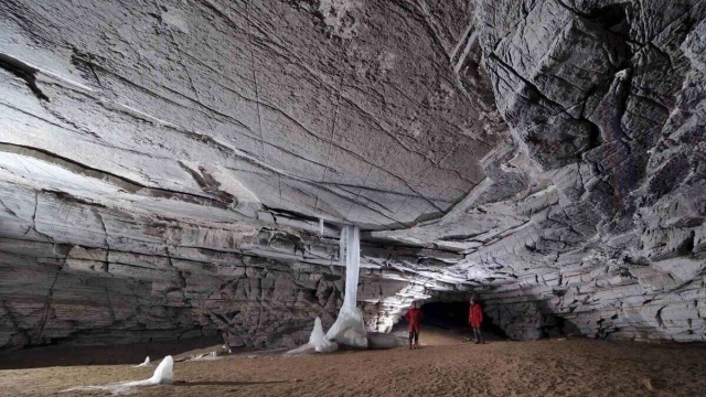 ������� ���������� ������ ��� �������� 