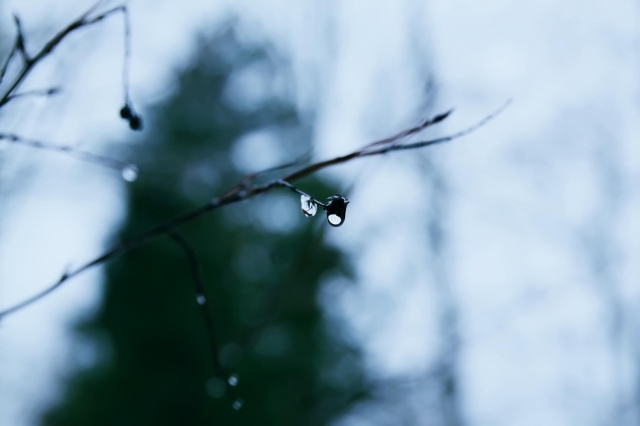 ����� ����. �� ���� �� �������