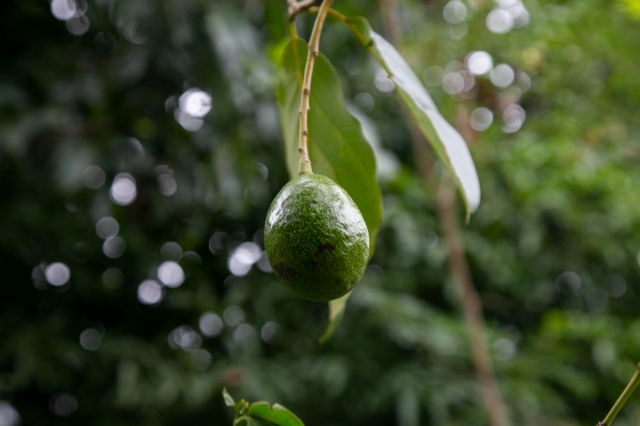 �� ������ ��������� ���� ������ �������