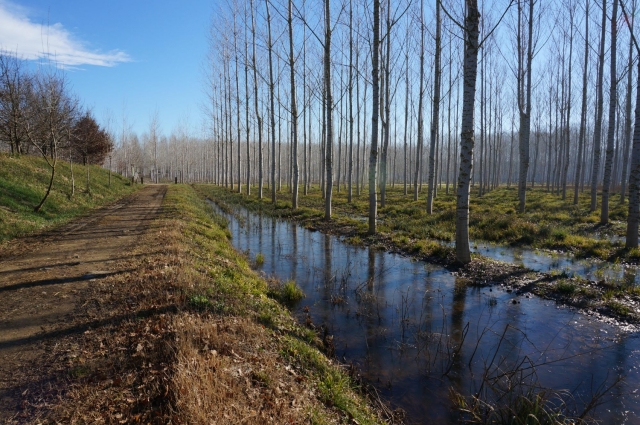 �������� ���� ��������� � ���������