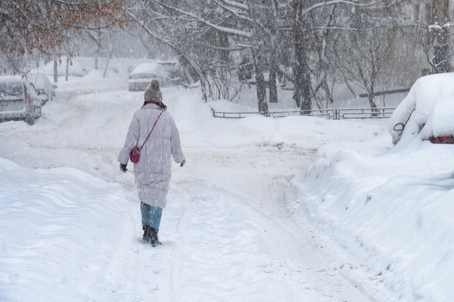 ​���� 2025�2026 � �������� ���� ����� ����� �� ����� ������� � ������� ����������